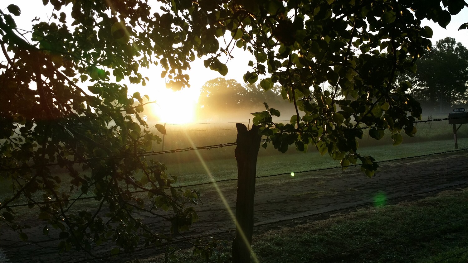 Sunrise on a Country Road