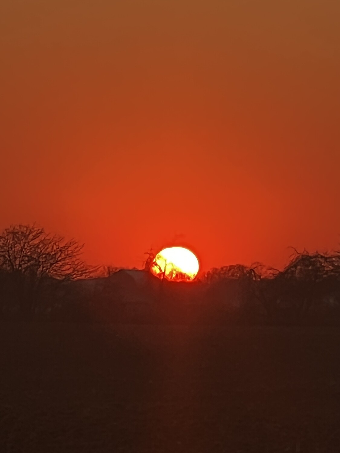Sunset in Country Side Michigan