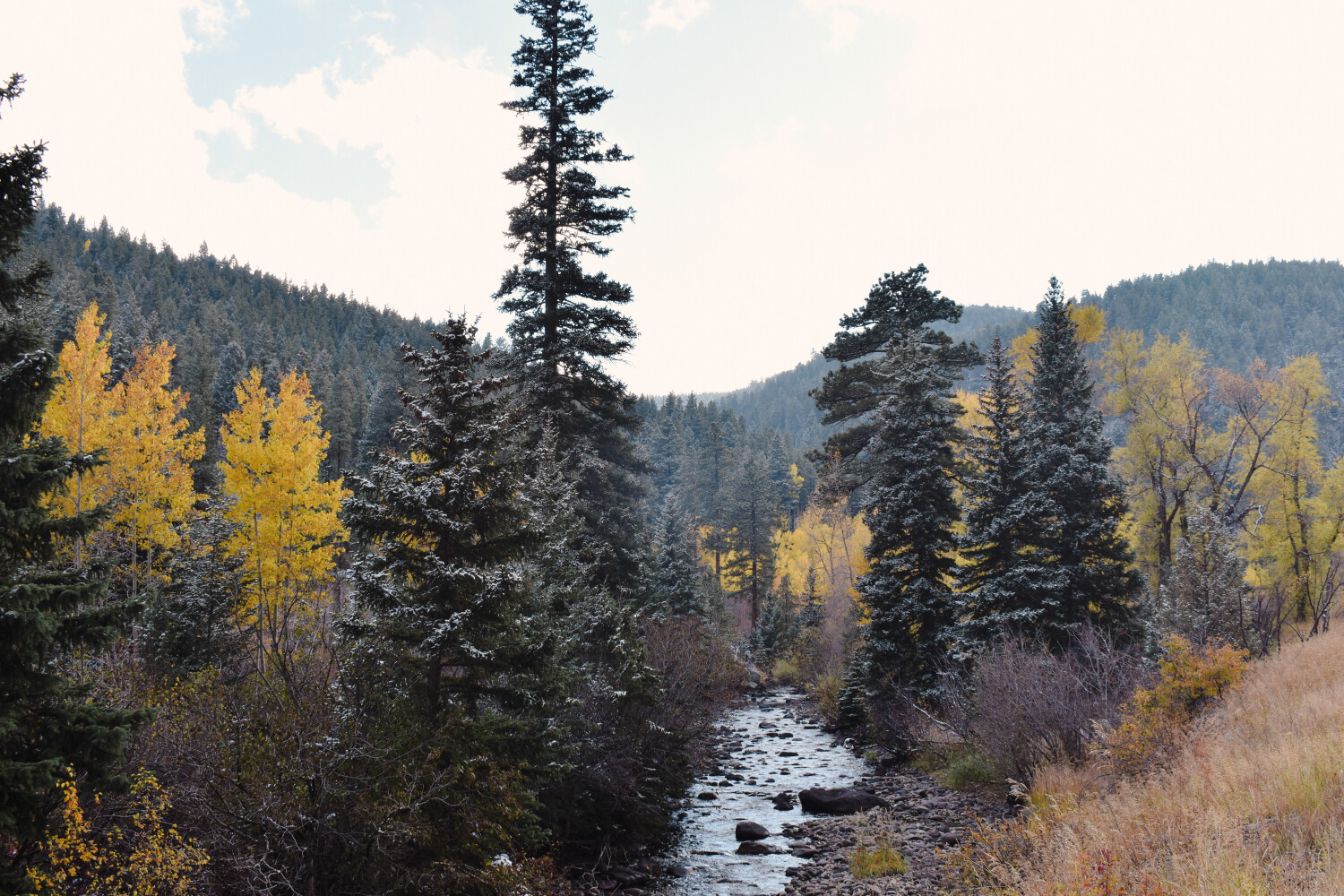 Mountain Creek, Fall