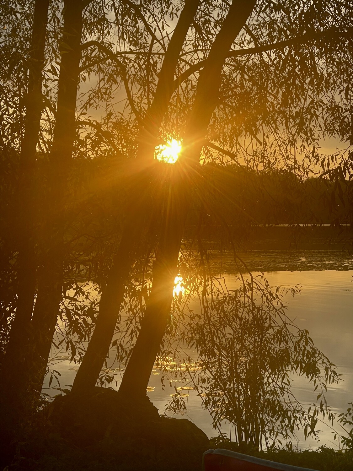 Summer evening at the lake