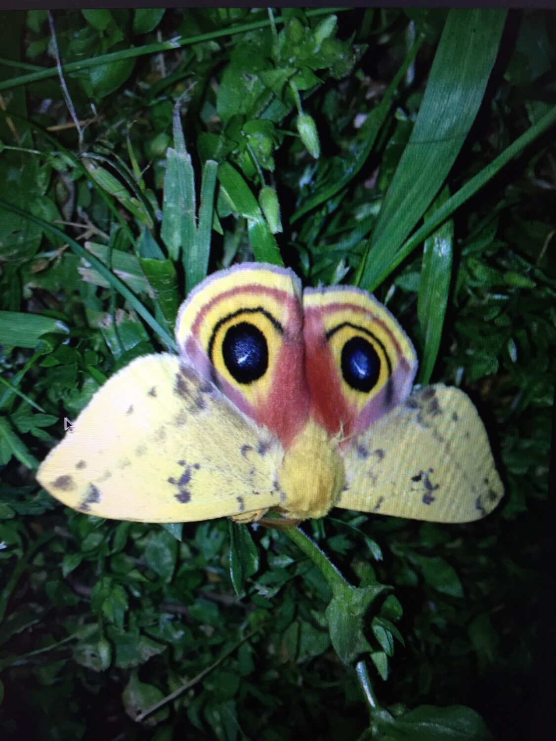 Just a small part of God and his majestic creation