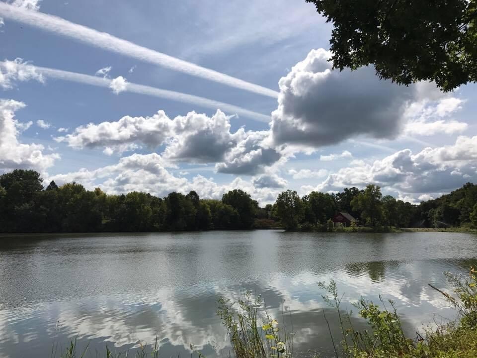 A view of heaven …