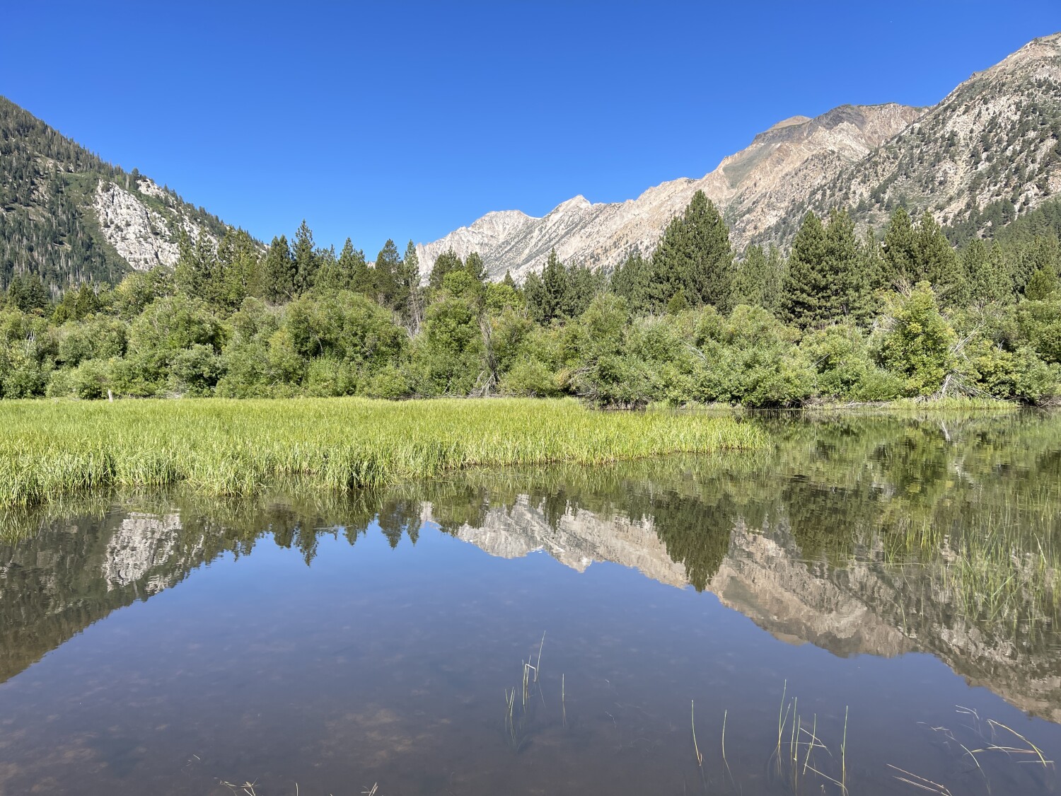 Humboldt-Toiyabe National Forest