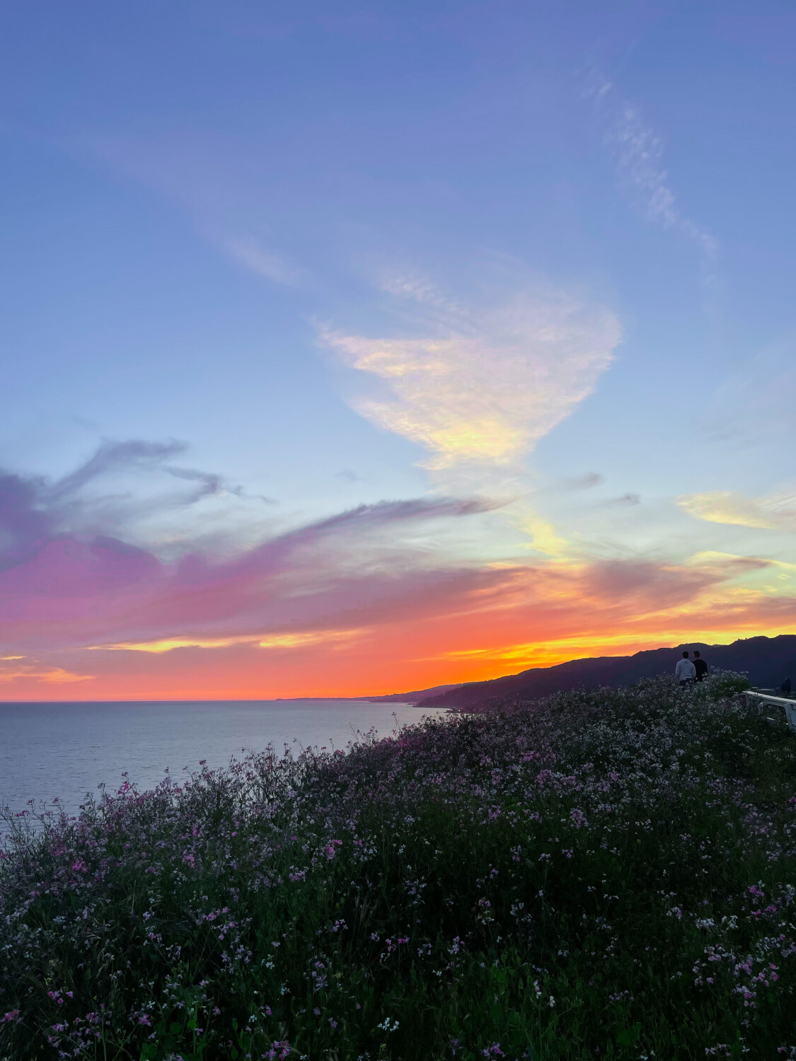 What a rainy season will bring