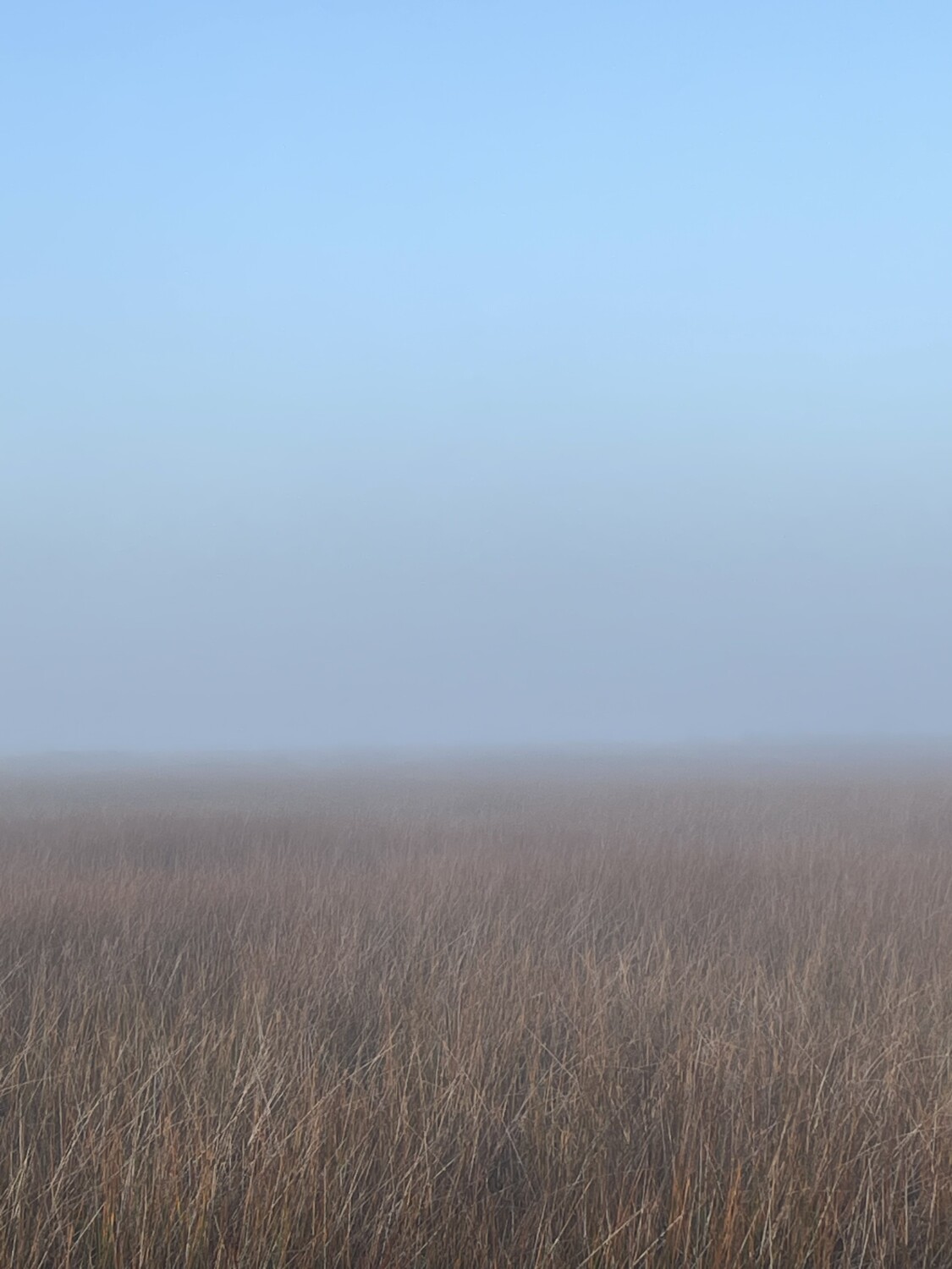 The mystery of serenity