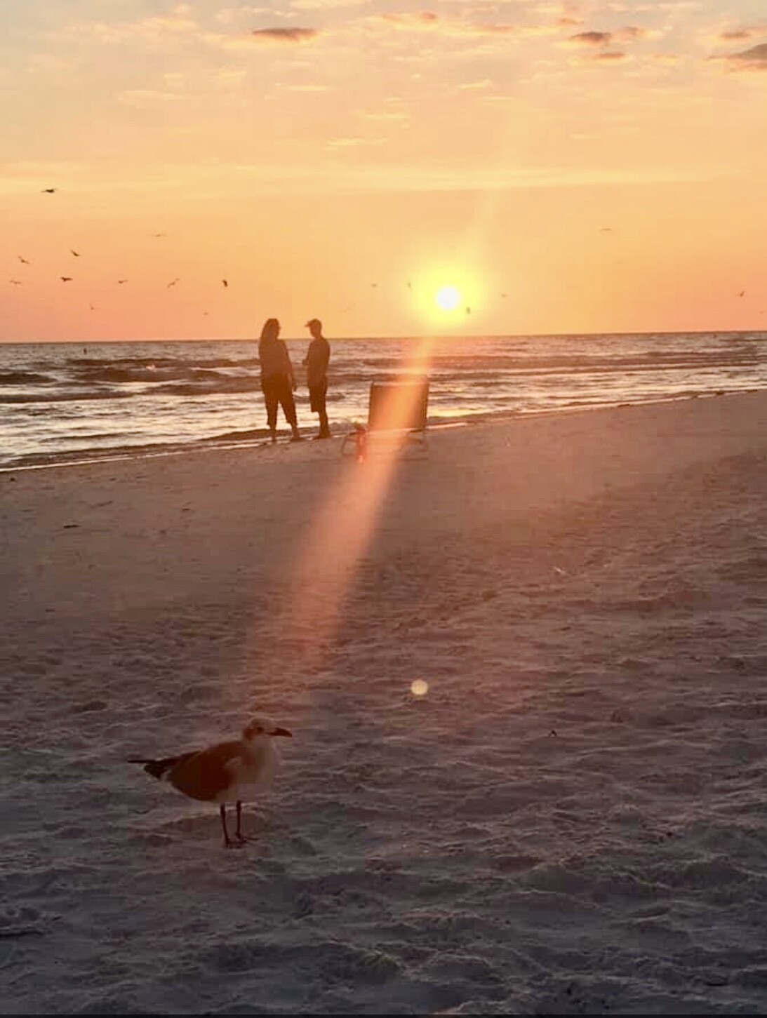 Sunshine on my shoulders makes me happy!