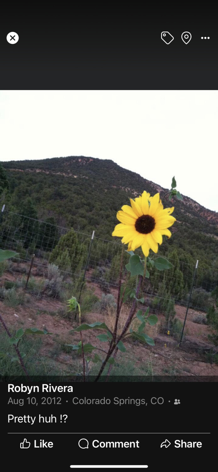 “ tranquillity “