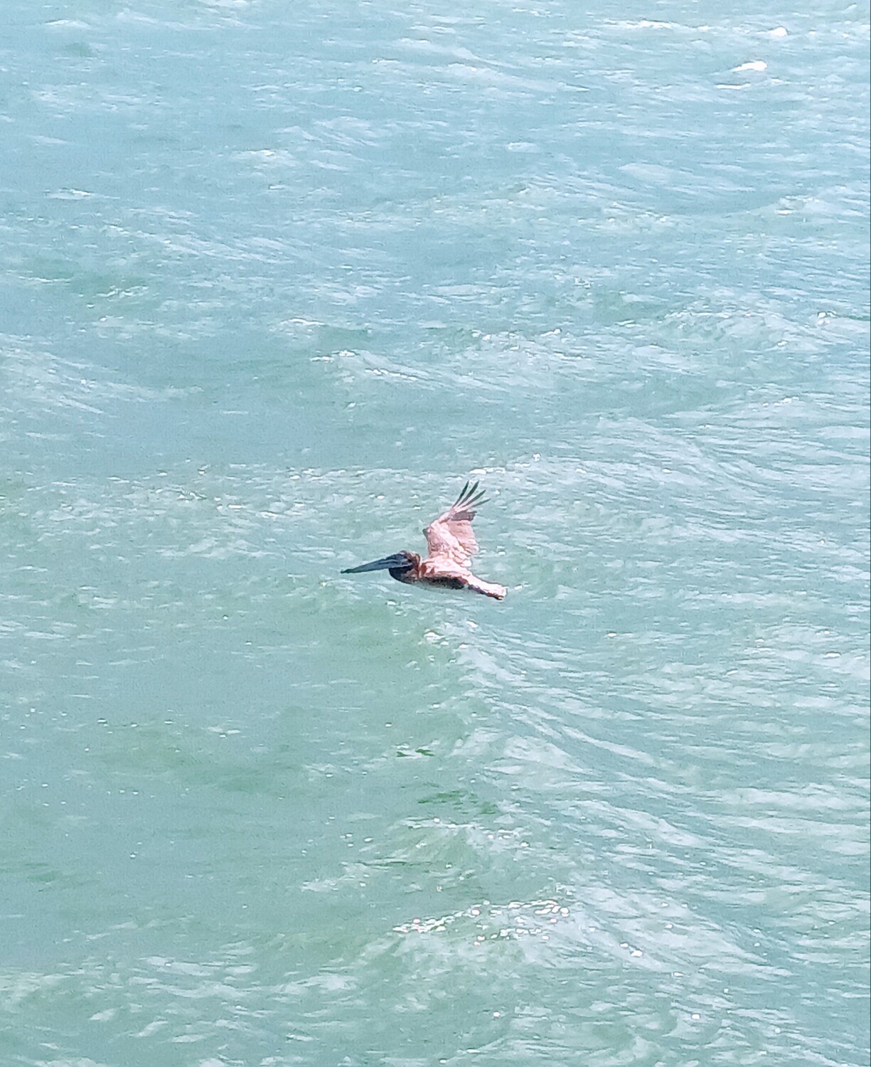 Flying against the wind