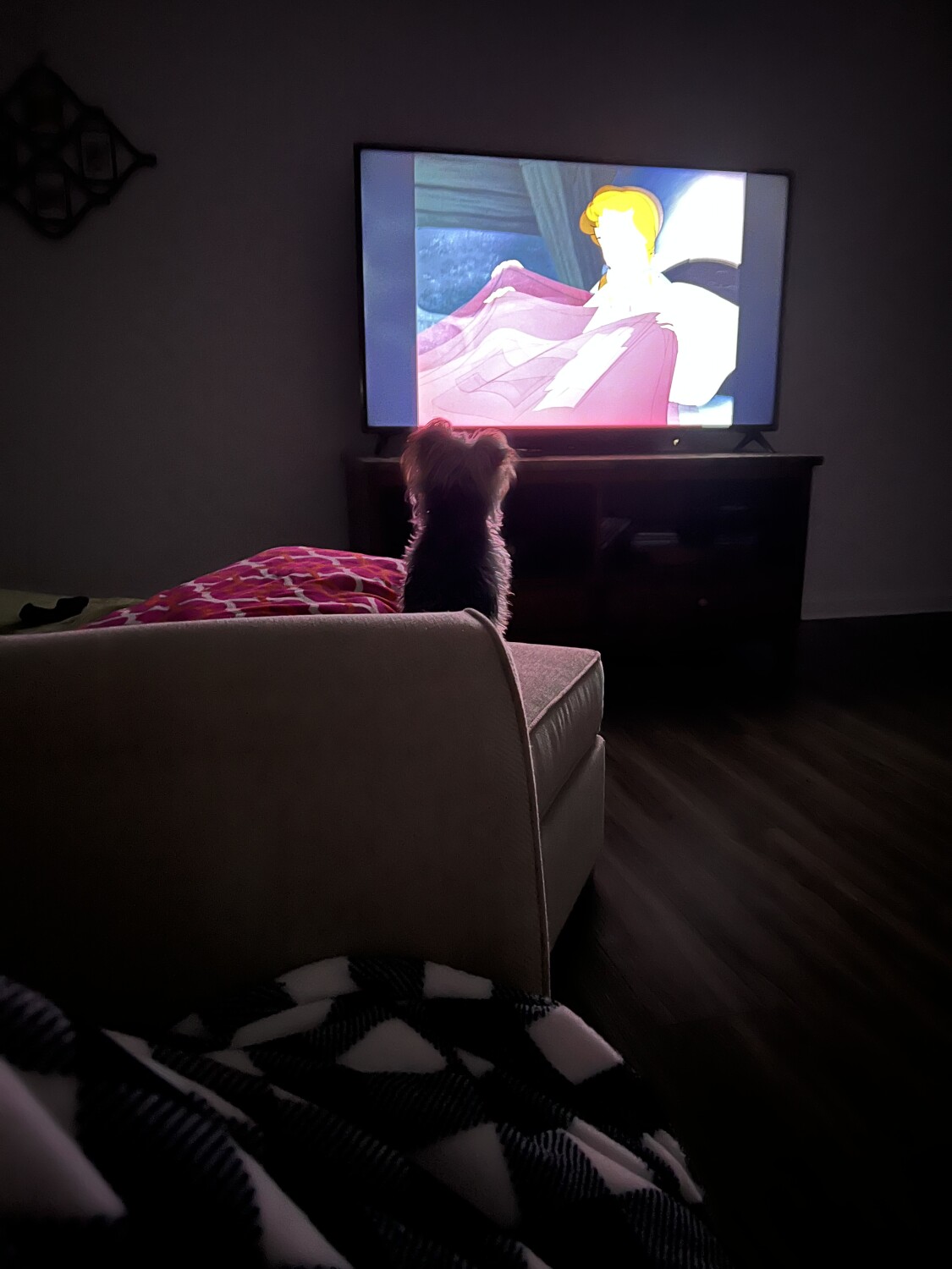 Murphie’s movie night