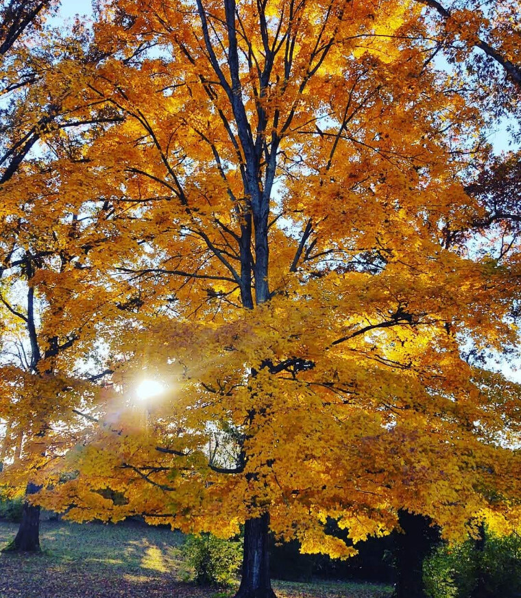 East Tennessee Fall Sunset
