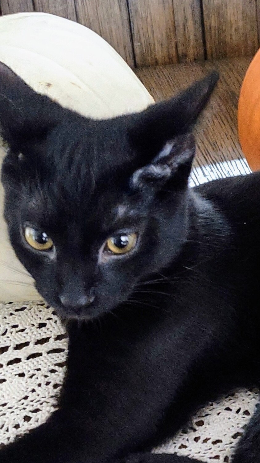 Walter with his new friend Rockey