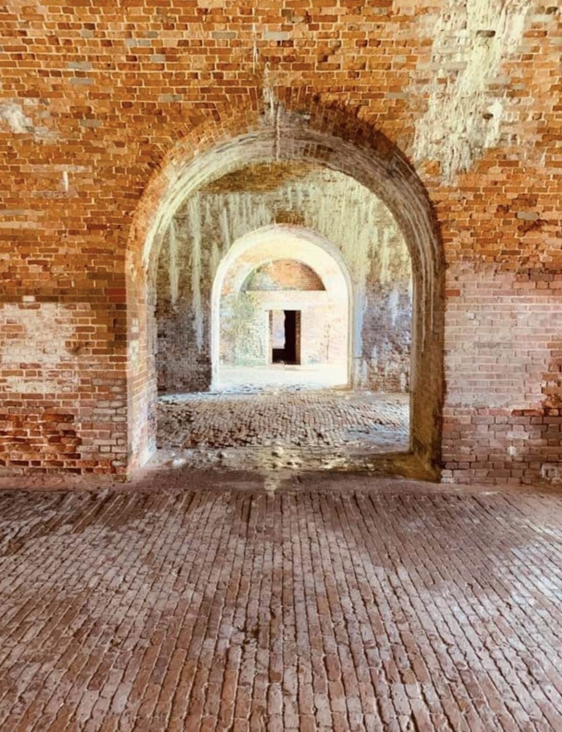 Down the Rabbit Hole