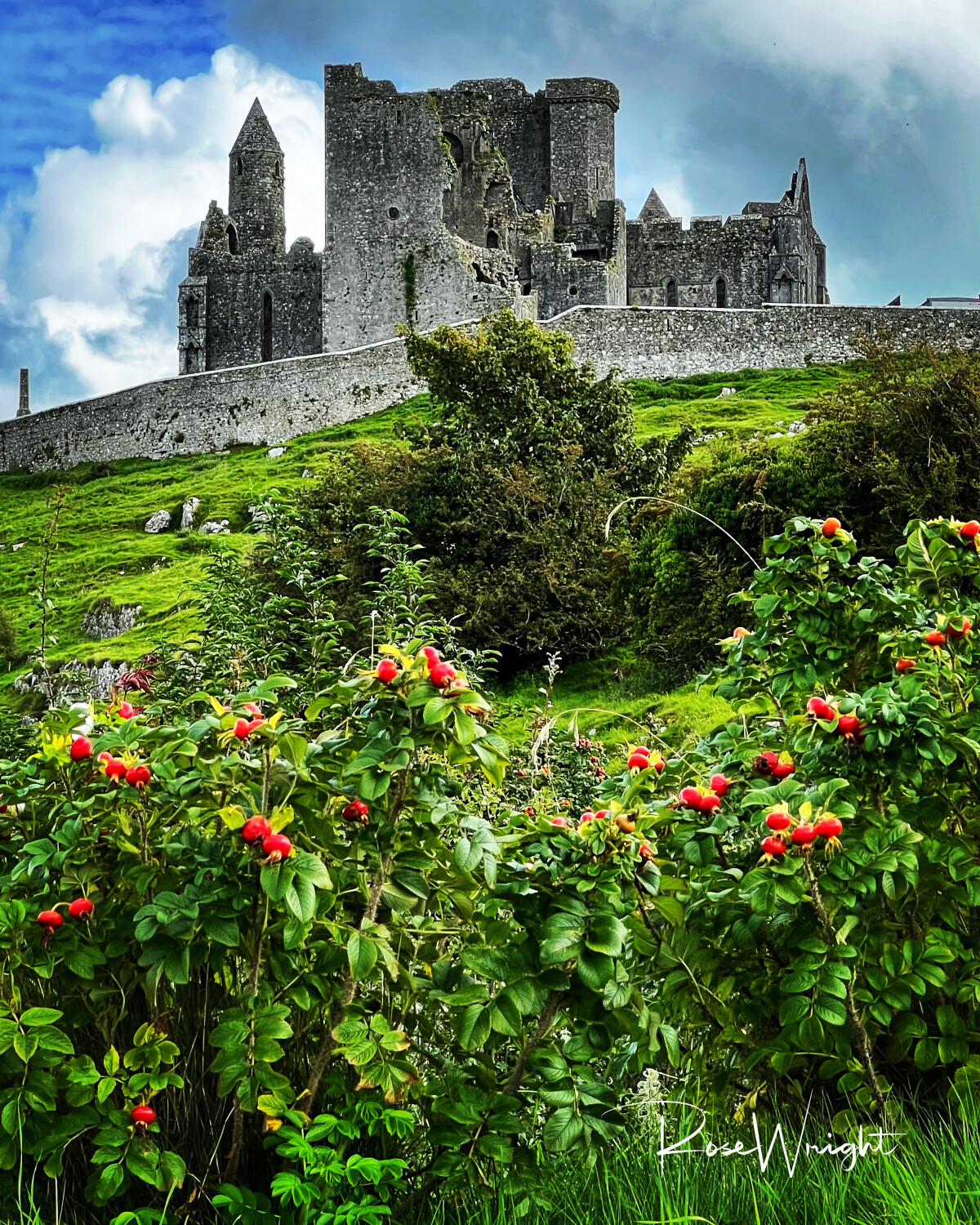Rock of Cashel