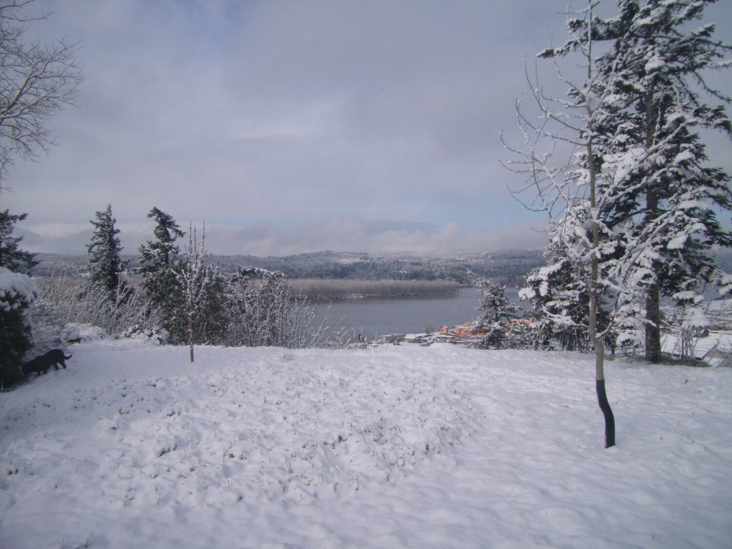 Beautifully peaceful