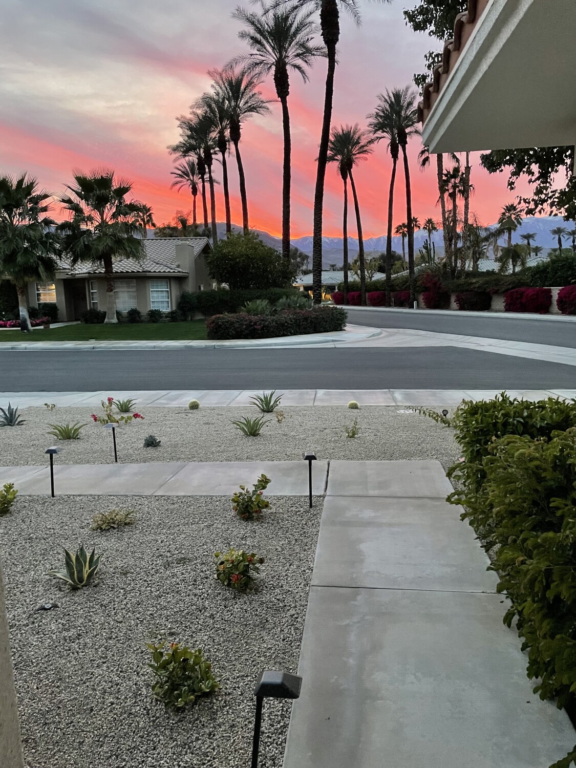 Palm Desert