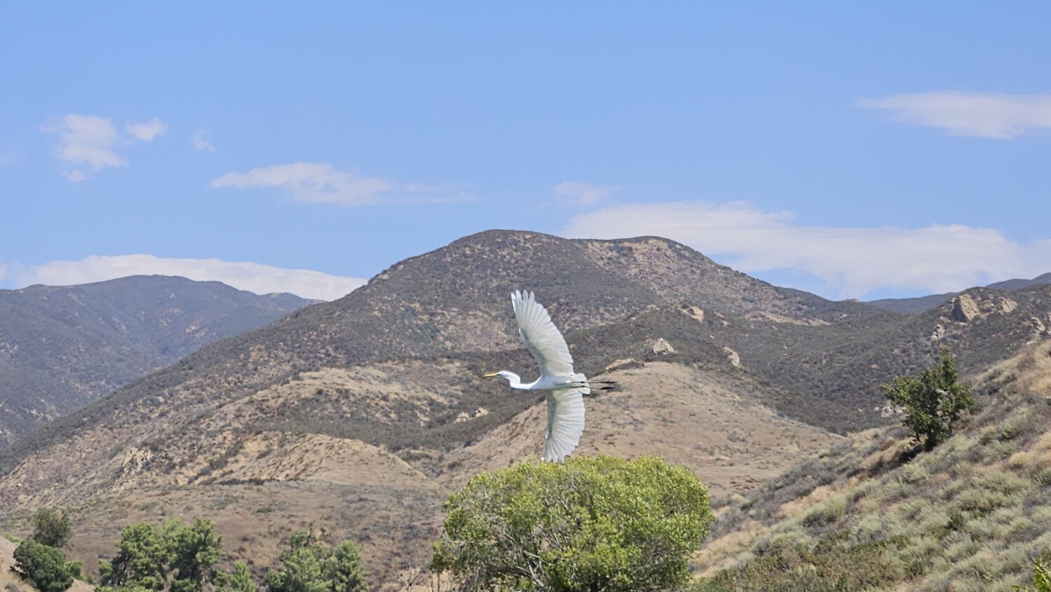 Soaring the Canyons of Castaic Lake
