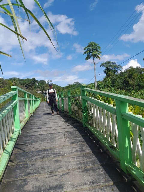 Bridge link two villages