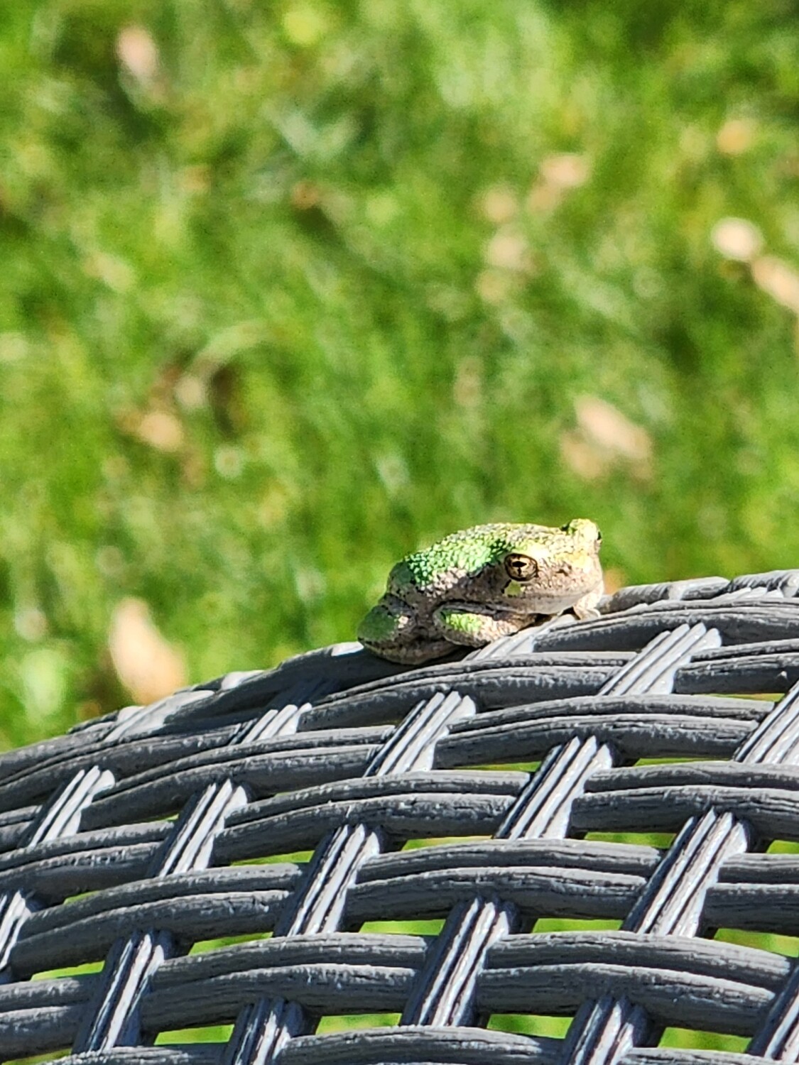 Ahhhhh....sunshine....mmmmmm