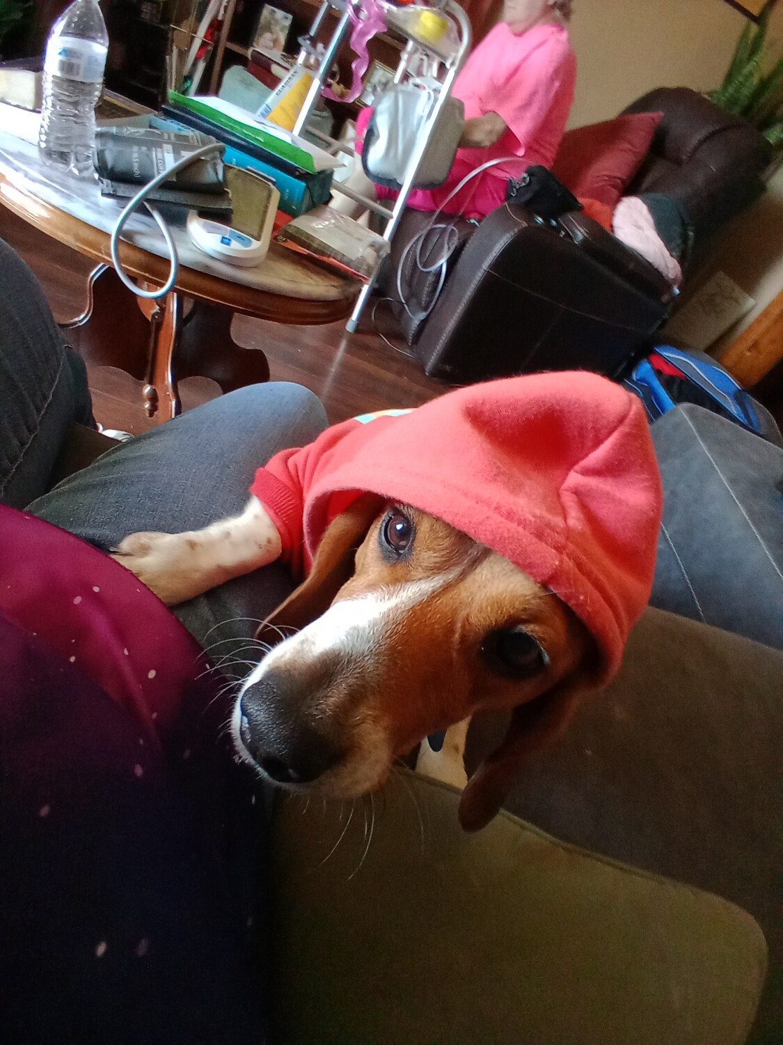 Ann got a sweatshirt