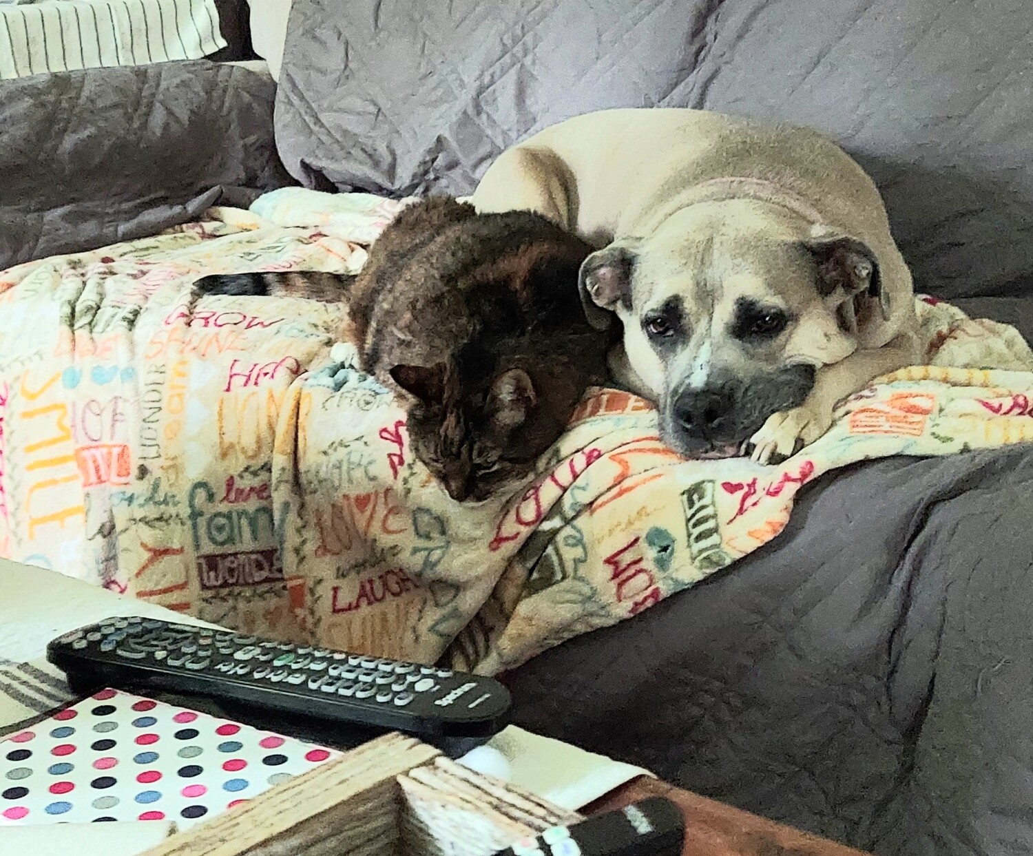 Wishing to change the channel