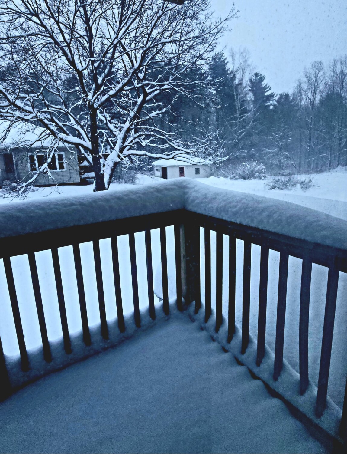 The first fall of snow…so magical!