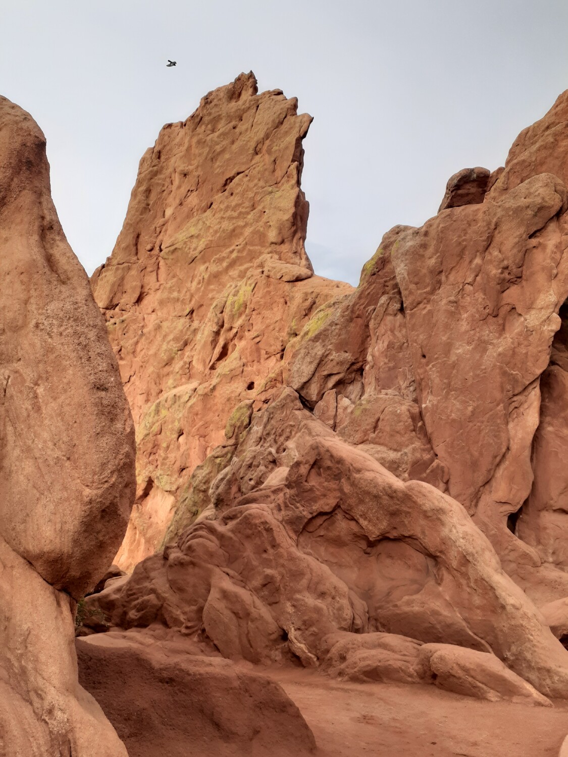 You capture my heart