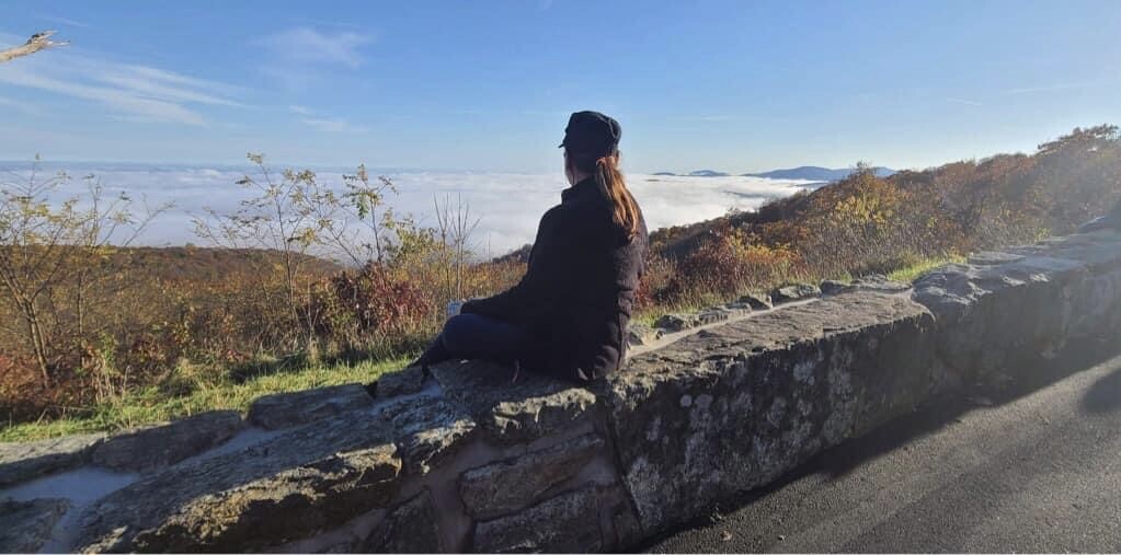 Skyline Drive Shenandoah Valley WV 2020