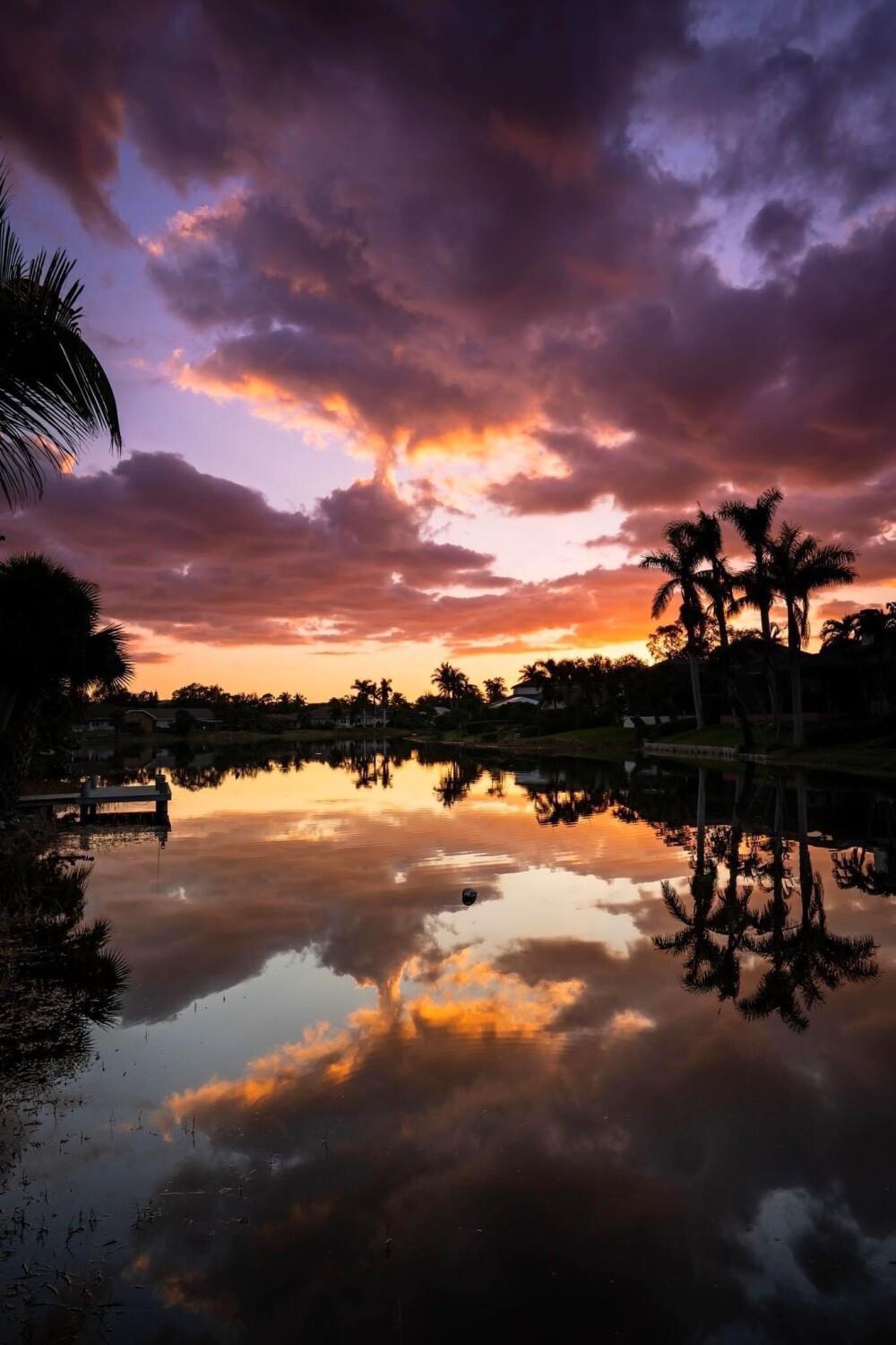 My beautiful backyard of Bonita Springs, FL