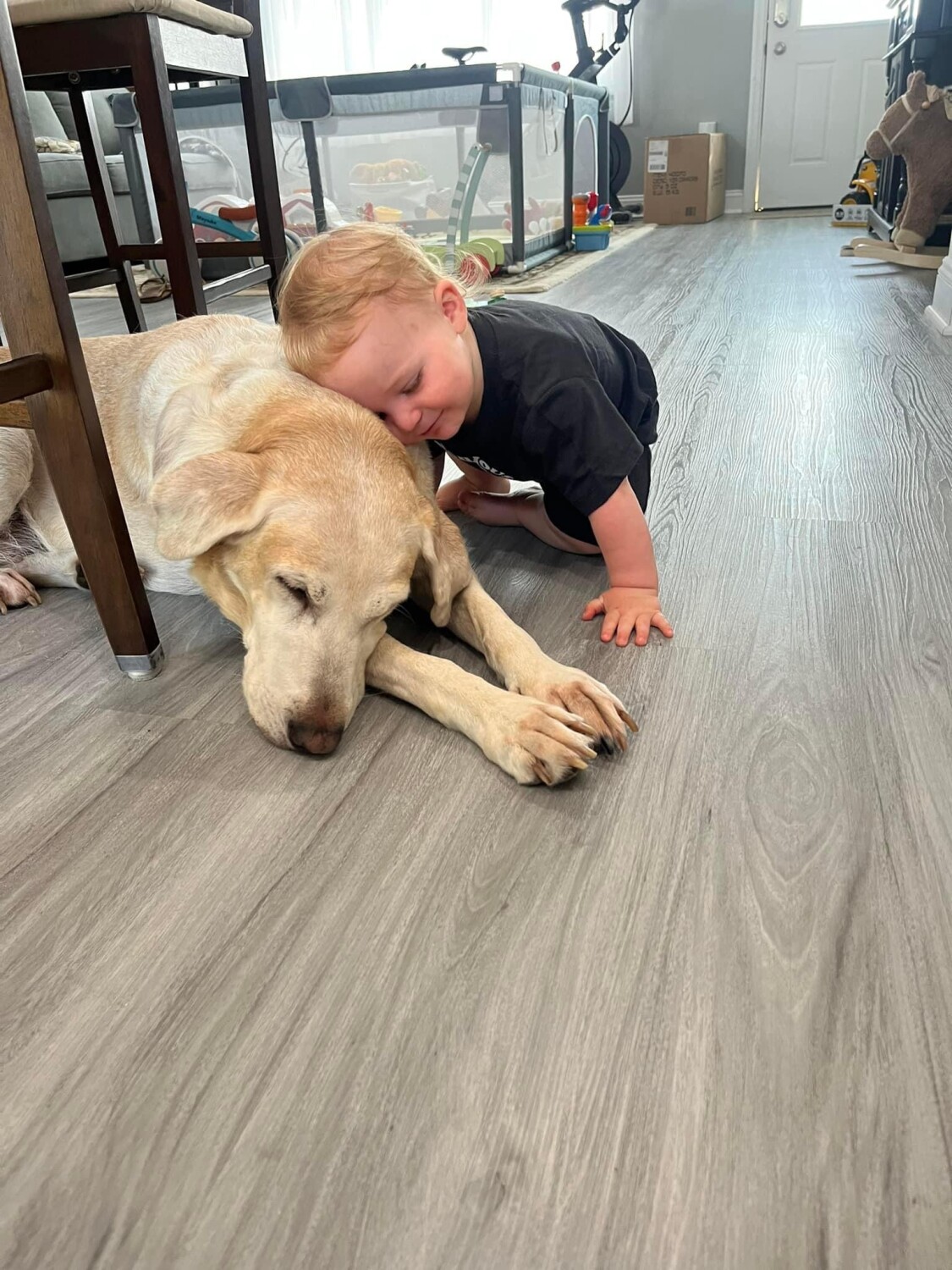 The Love of a Child and a Dog