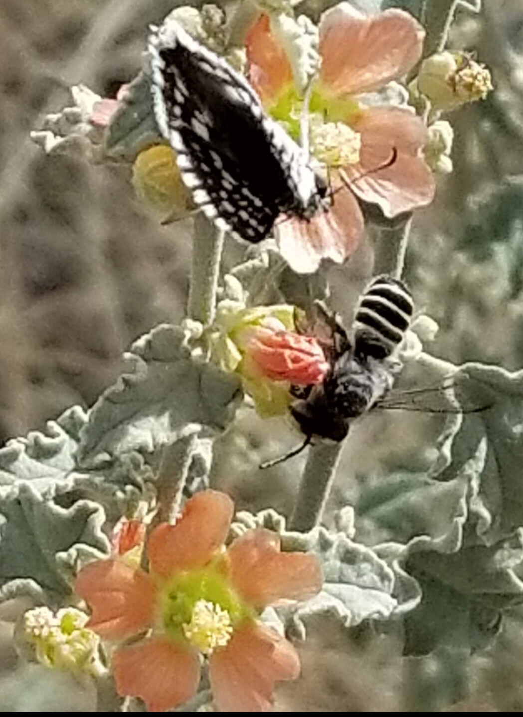 Somewhere in New Mexico