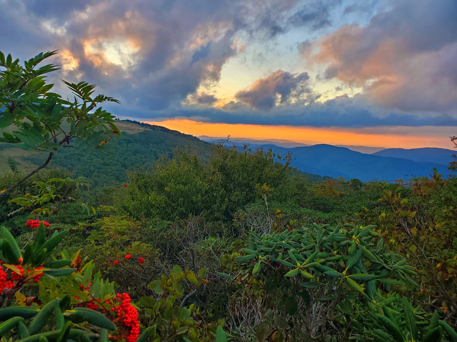 Roan mountain