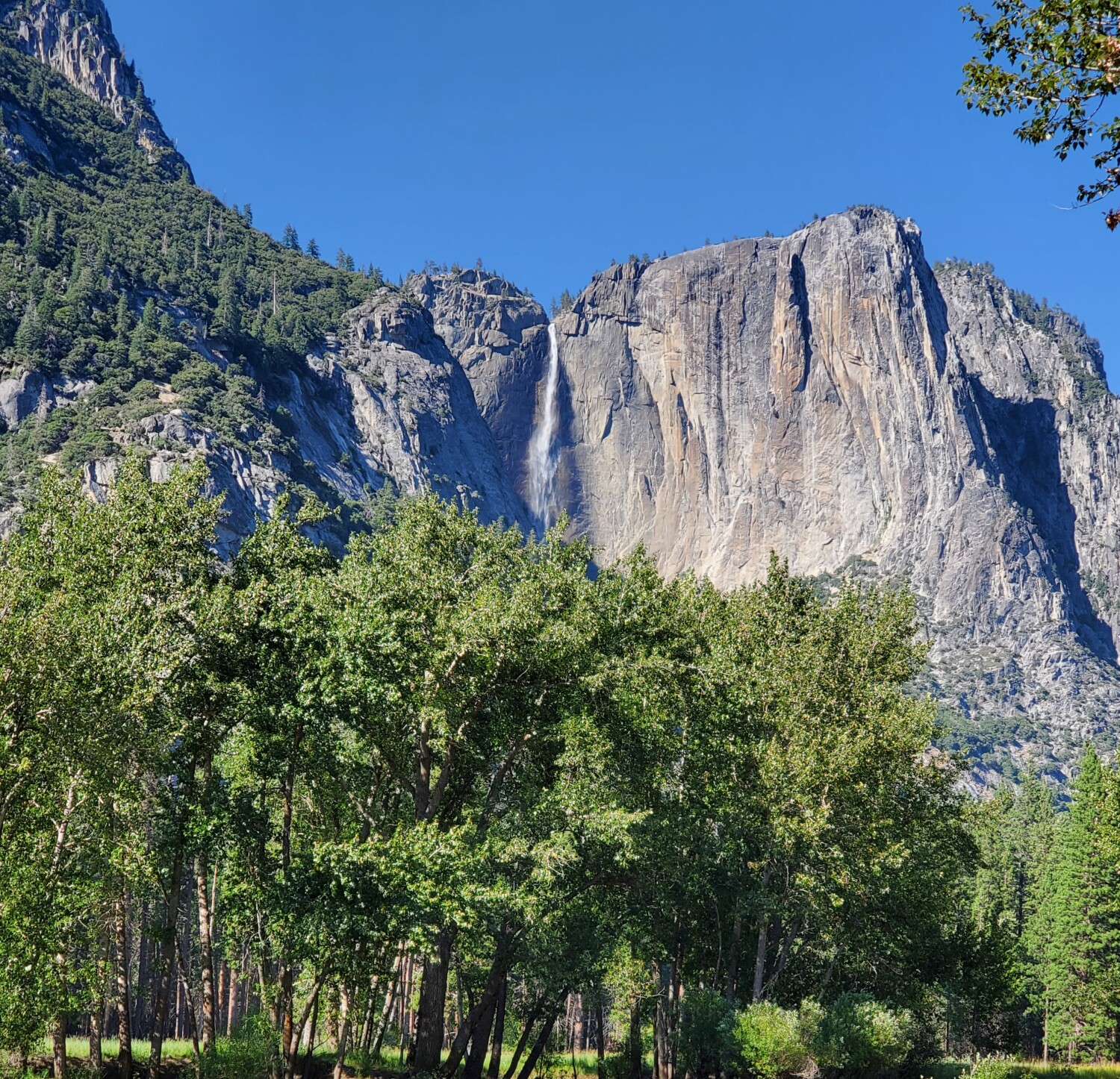 Yosemite 2023