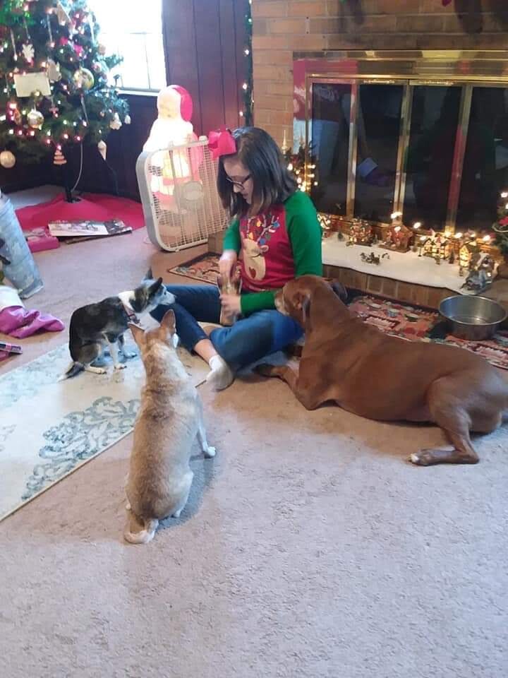 Christmas treats for the furbabies