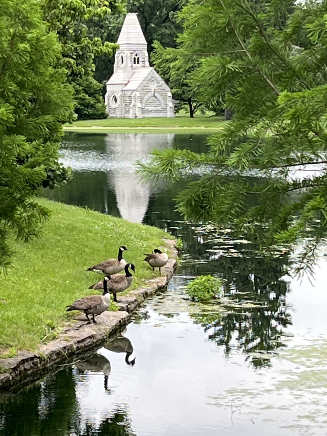 Beauty in the Cemetery