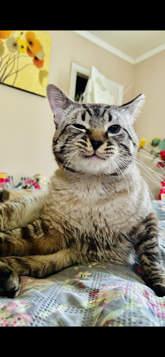 Hey, I’m watching you, baby!