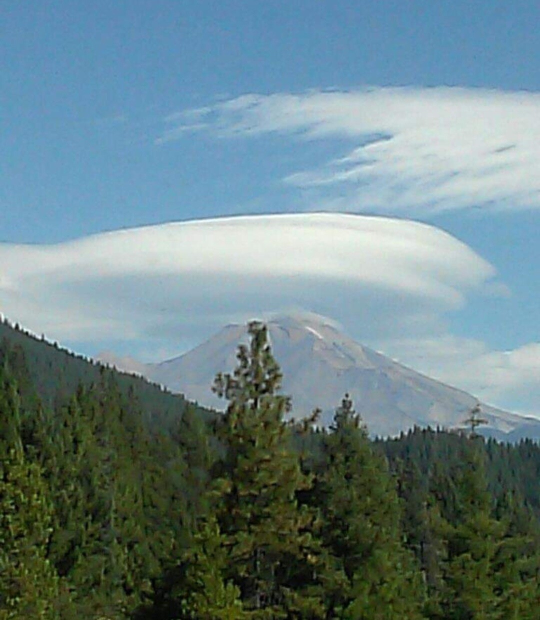 Mt. Shasta CA.