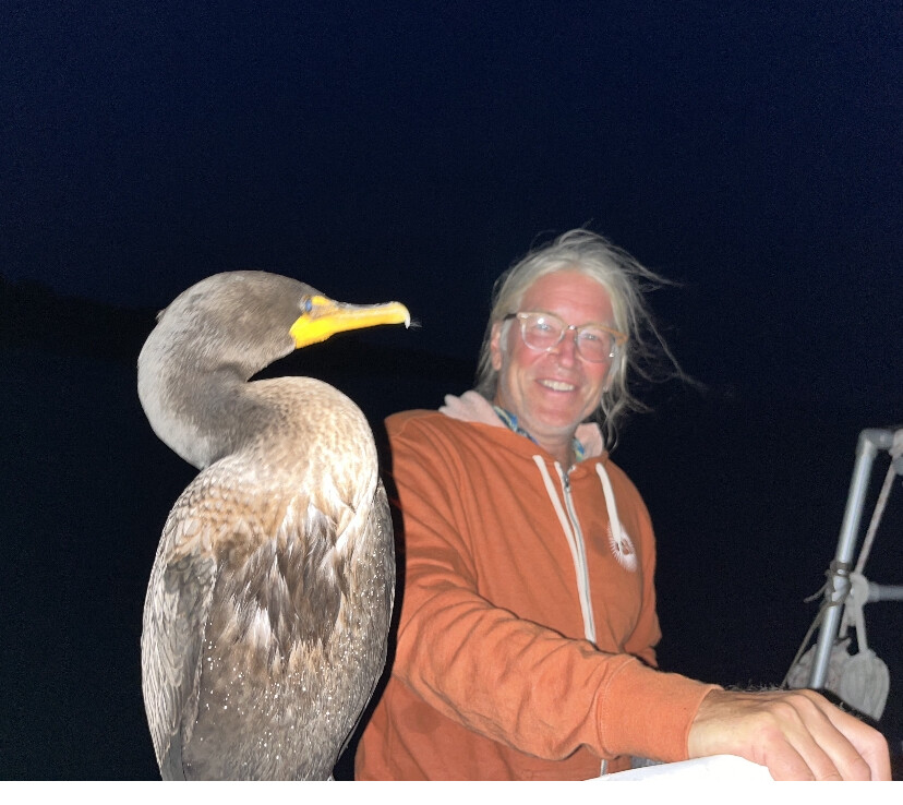 Captain and Cormorant