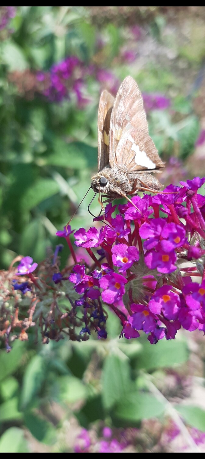 Ready for my closeup