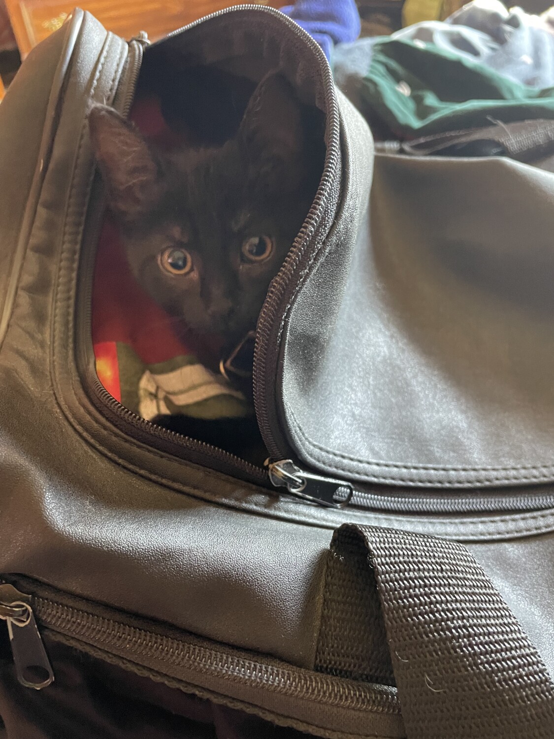 Stowaway