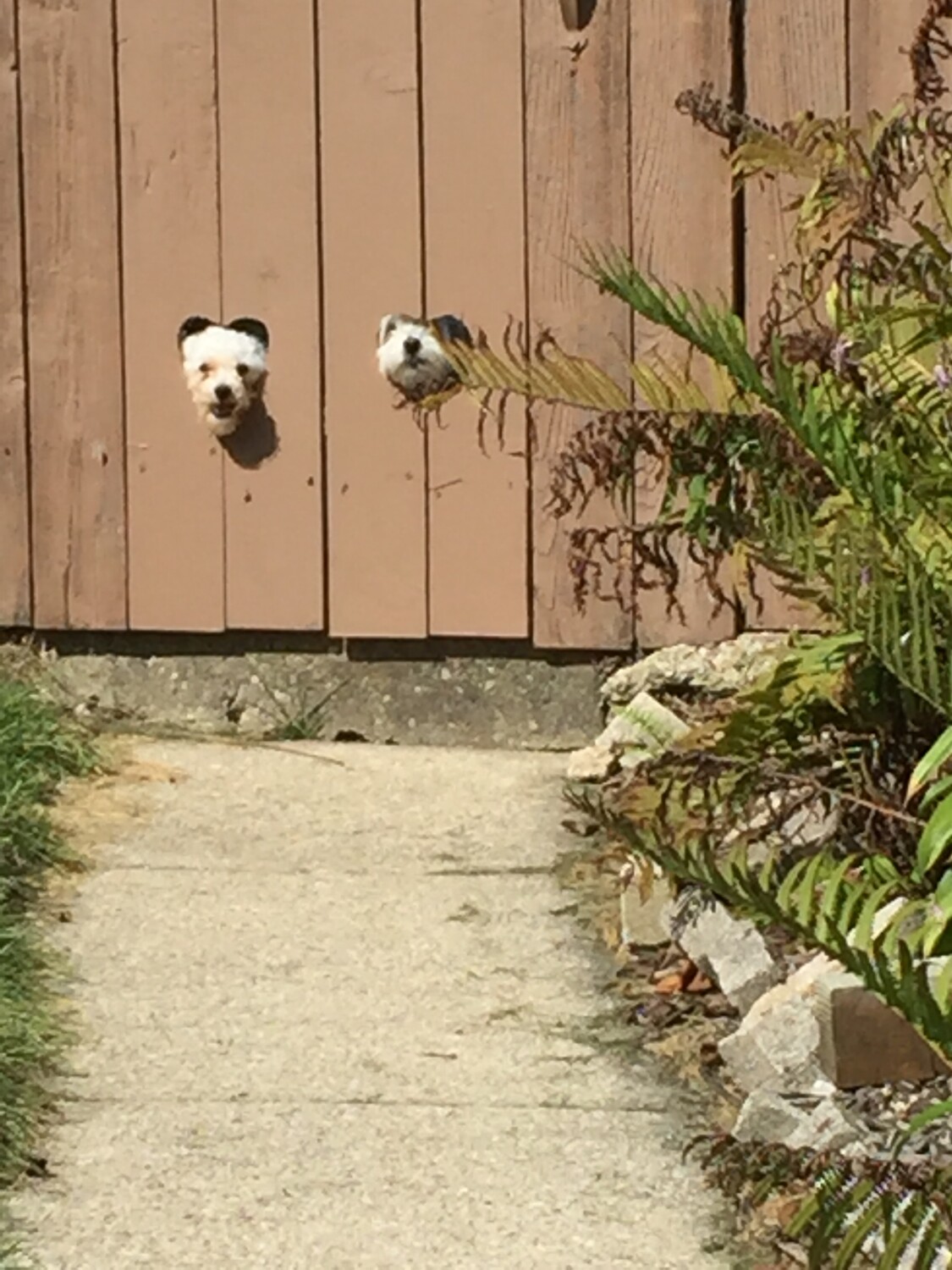 Chloe and Angels lookout