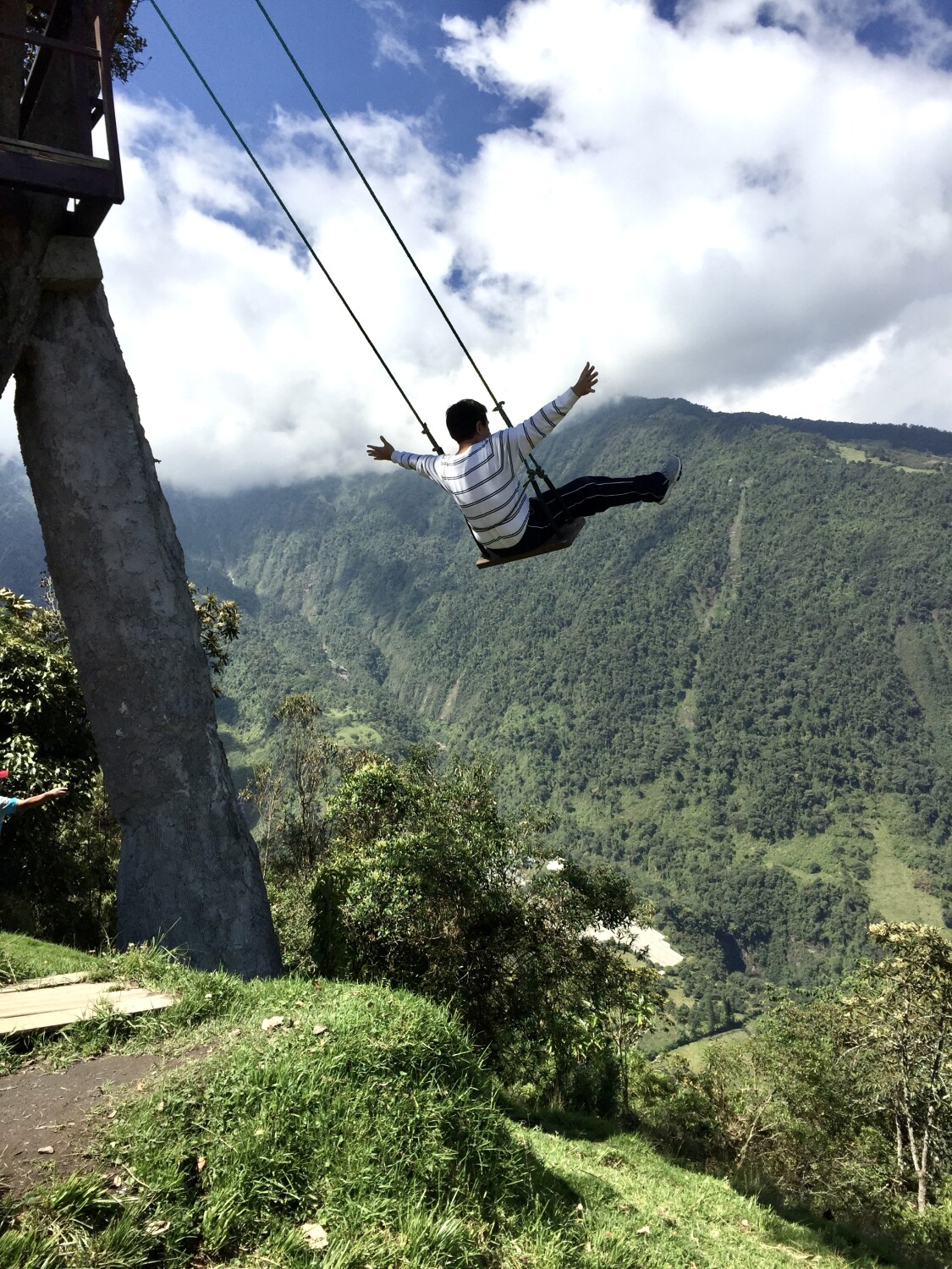 The Swing