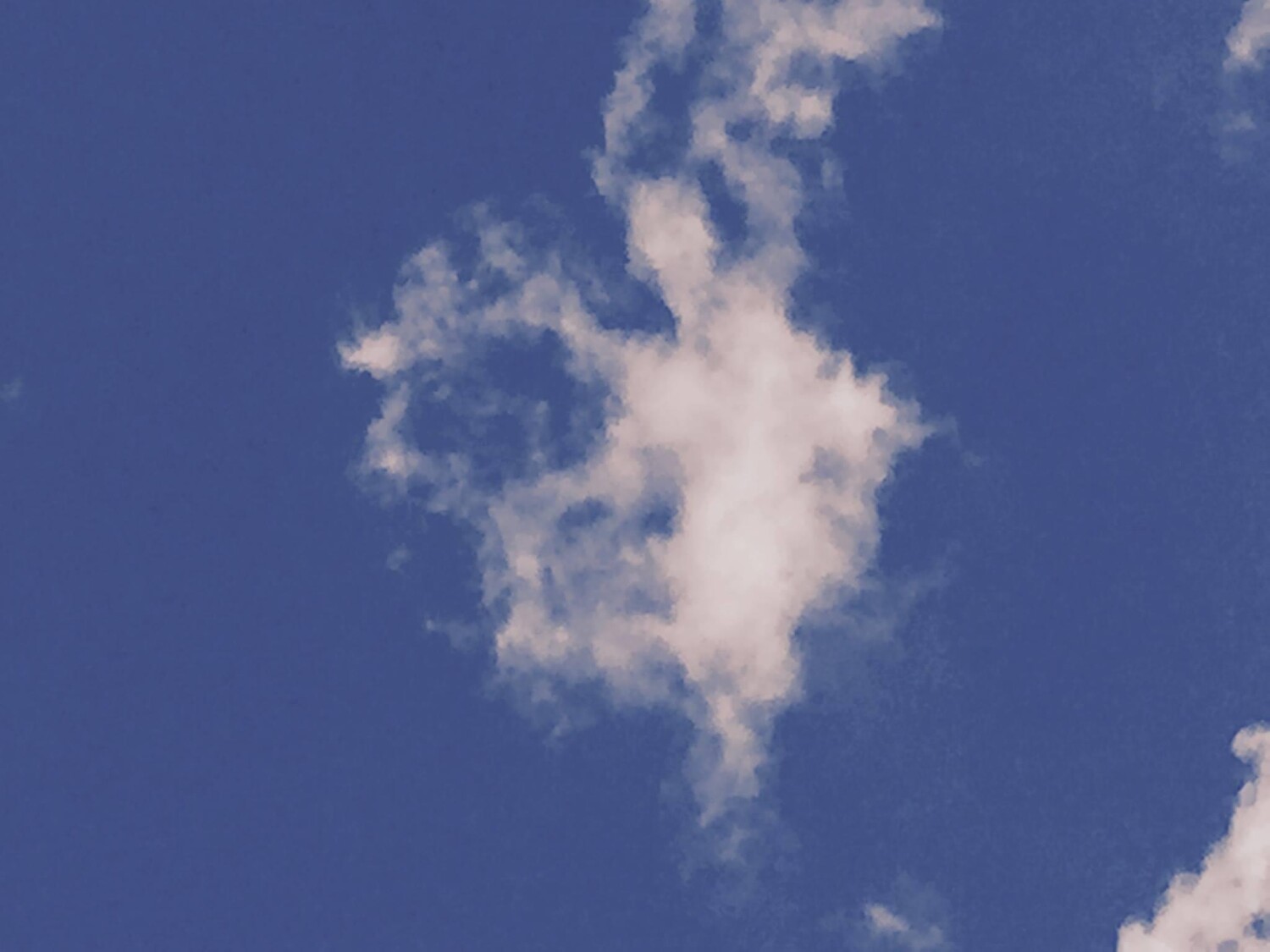 Angels Watching in Florida Everglades