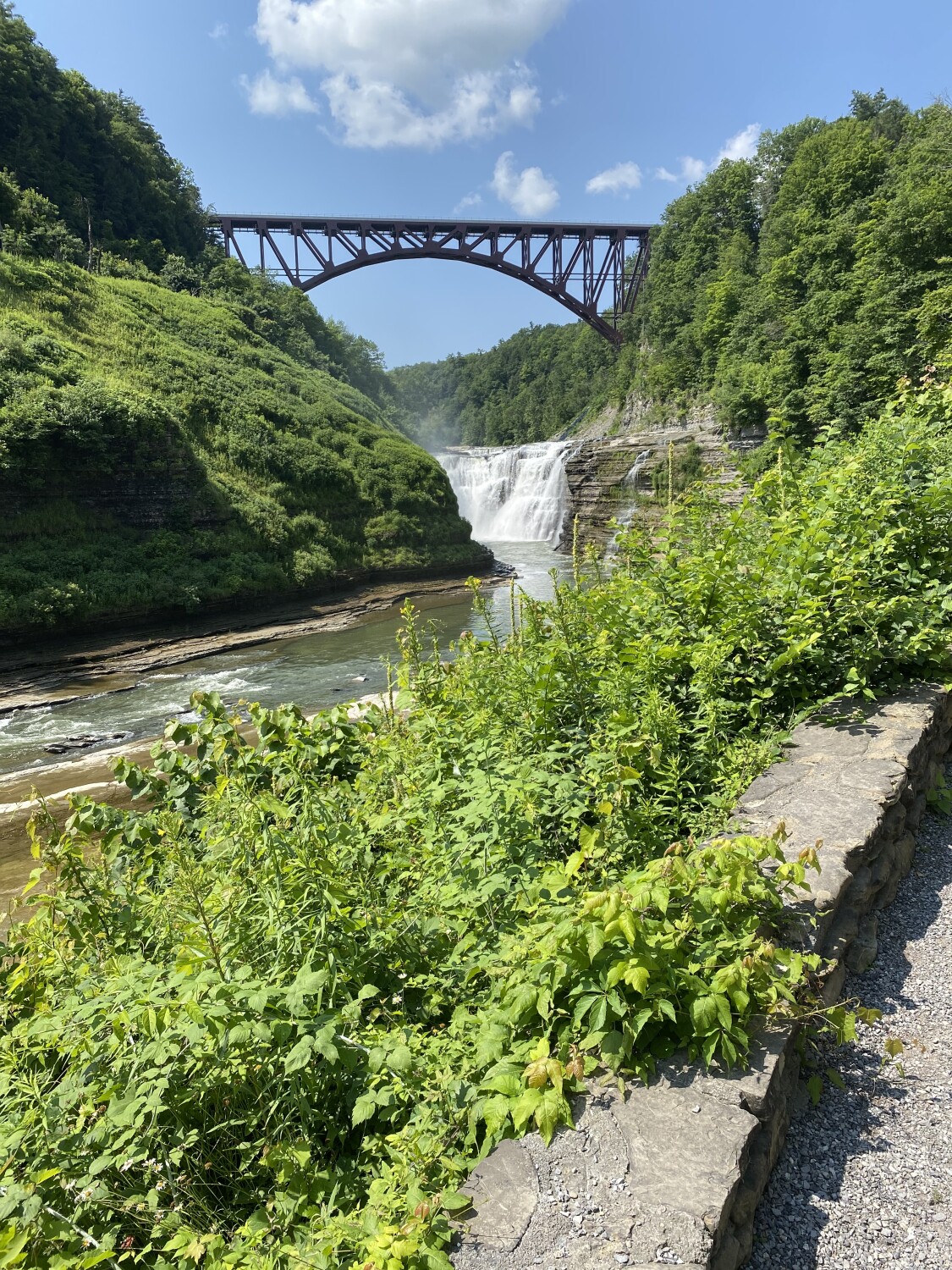 Michelle’s camping trip