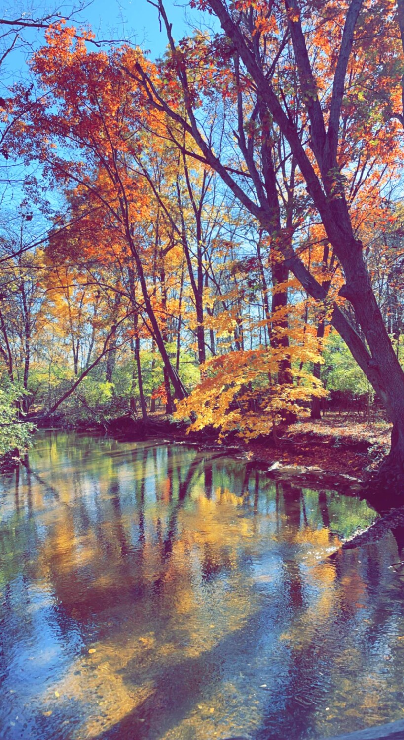 Fall in Michigan