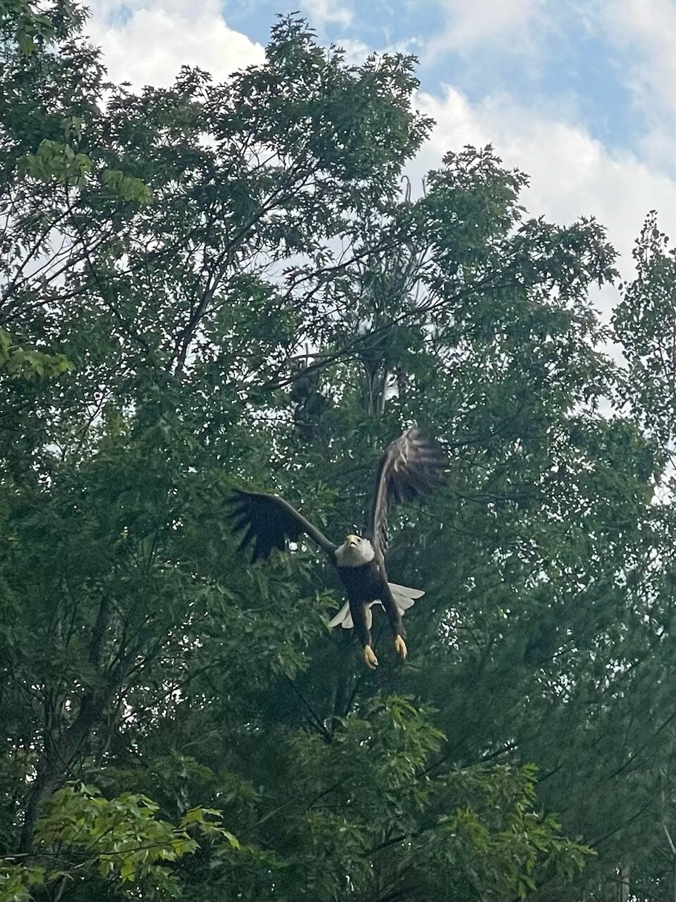Bald Engle, Michigan, Lake George
