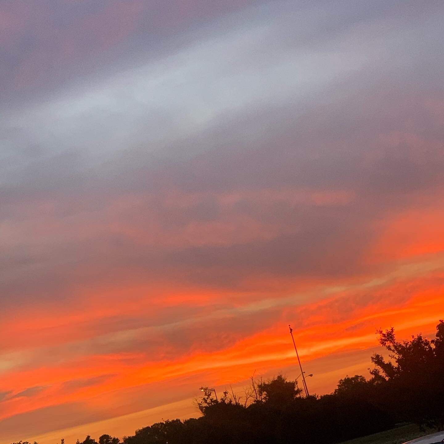 Sun Rays blazing through