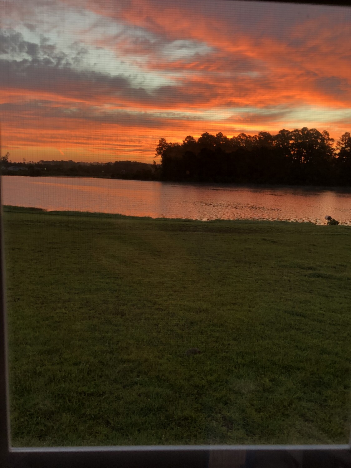 The lake in my backyard