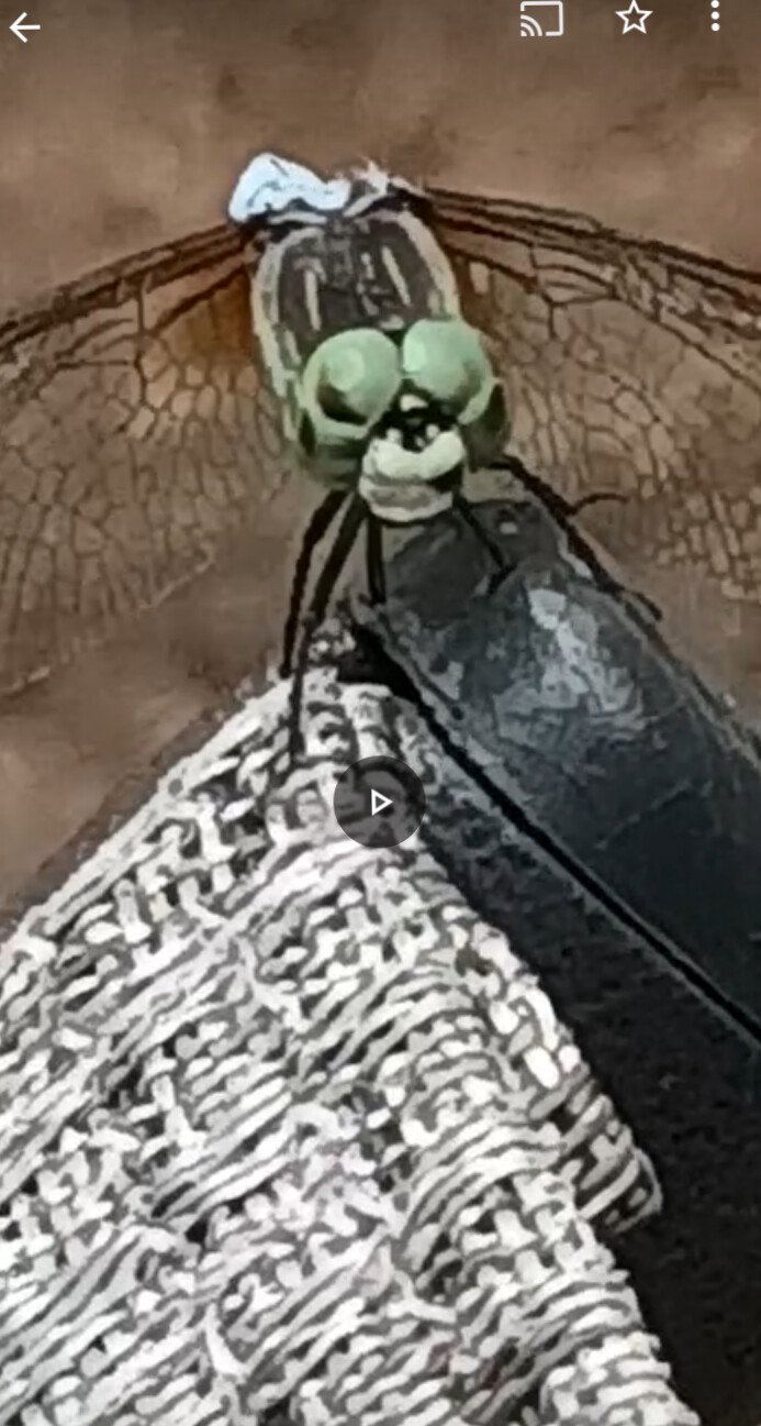 Tell me again about my EYES!!!