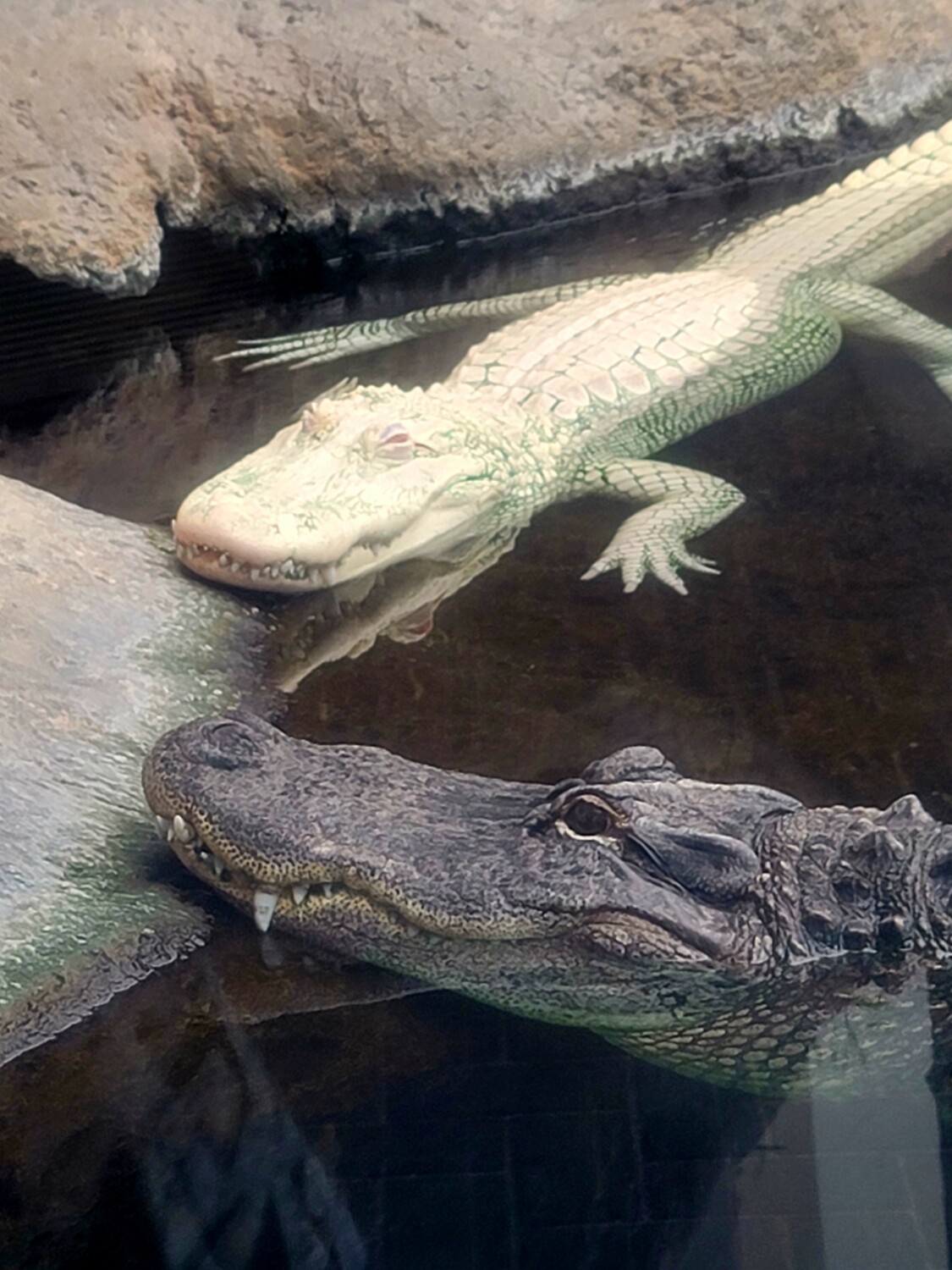 You Sleep,  I'll Keep And Eye Out..