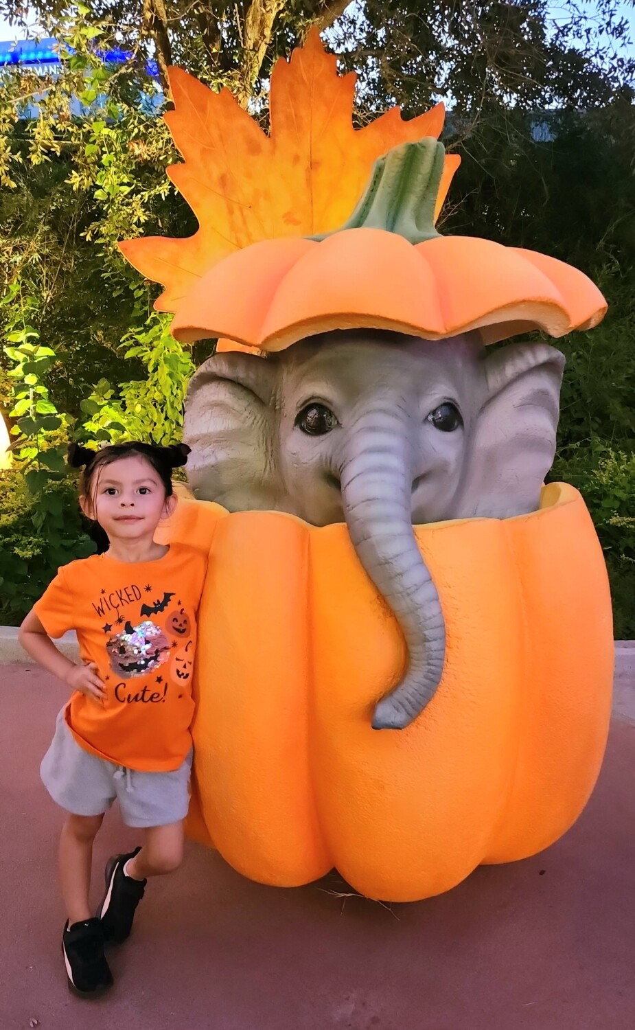 Analiah Rose Baby Pumpkin